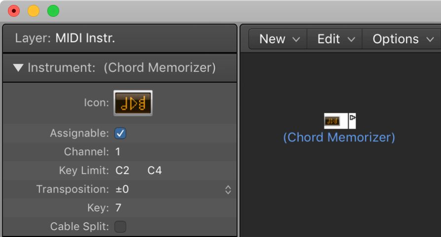 Figure. Environment window showing a chord memorizer object and its inspector.