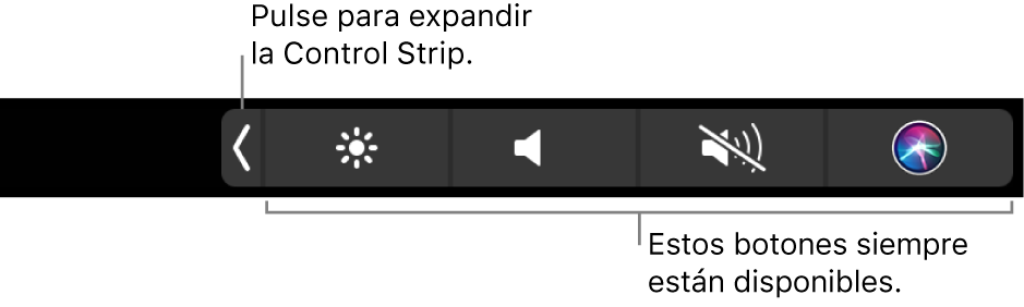 Ilustración. Control Strip de la Touch Bar.