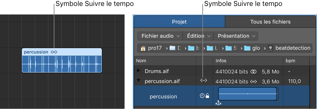 Figure. Symbole Suivre le tempo sur une région audio et dans le navigateur audio du projet.