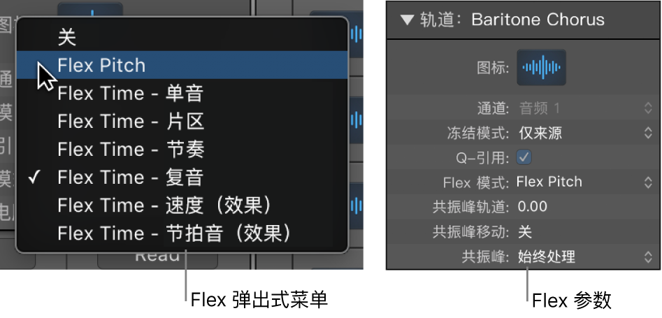 图。显示 Flex 算法和参数的轨道检查器。