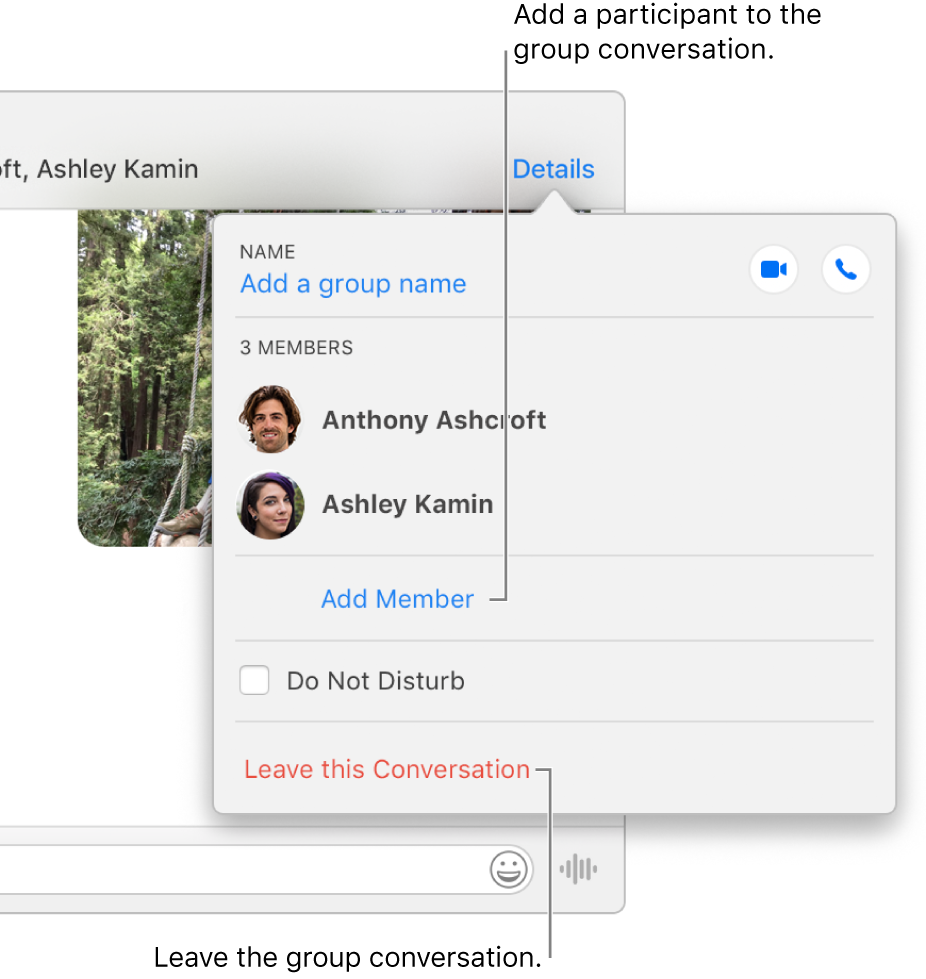 Details view, which appears after you click Details in a group conversation. Add Member appears below the name of the last participant in the list, and Leave this Conversation is at the bottom of the dialogue.