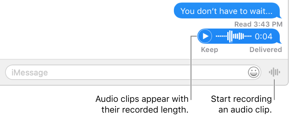A conversation in the Messages window, showing the Send Voice Message button next to the text field at the bottom of the window.