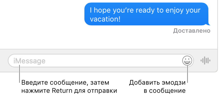 Разговор в окне Сообщений: в нижней части окна показано текстовое поле.