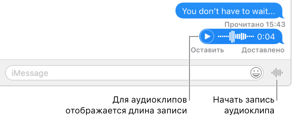 Разговор в окне Сообщений: внизу окна показана кнопка «Отправить голосовое сообщение» рядом с текстовым полем.