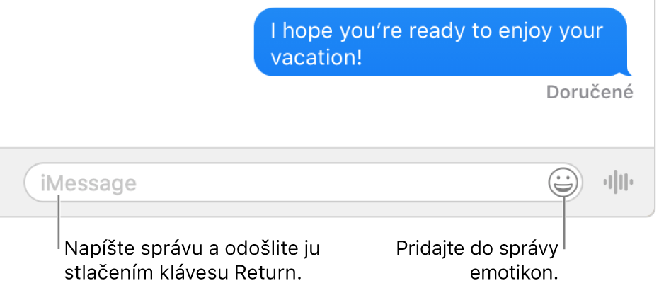 Konverzácia v okne Správy s textovým poľom v dolnej časti okna.