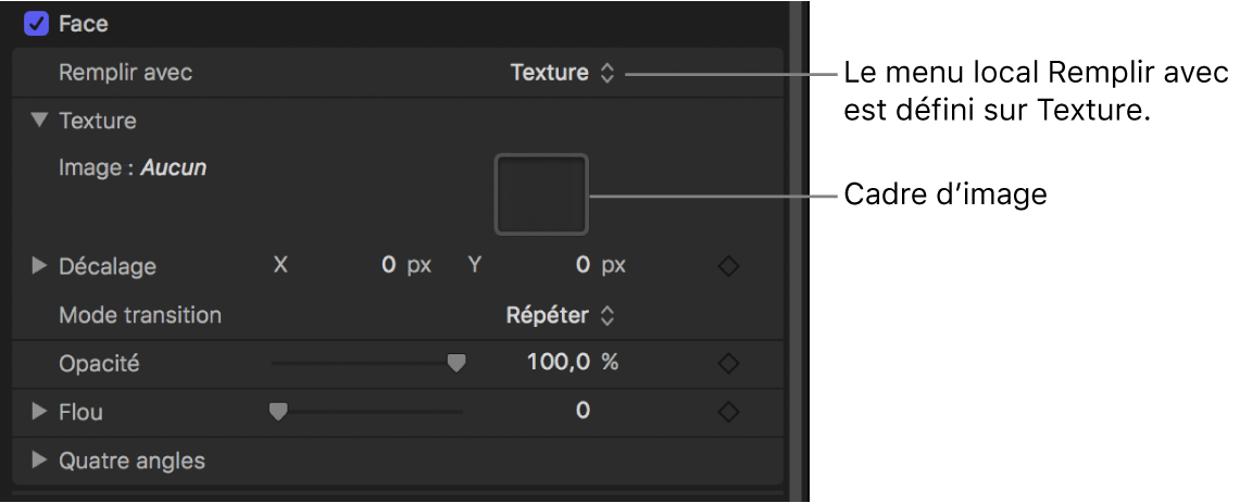 Inspecteur de texte avec paramètre « Remplir avec » du style de texte réglé sur Texture, révélant le cadre d’image