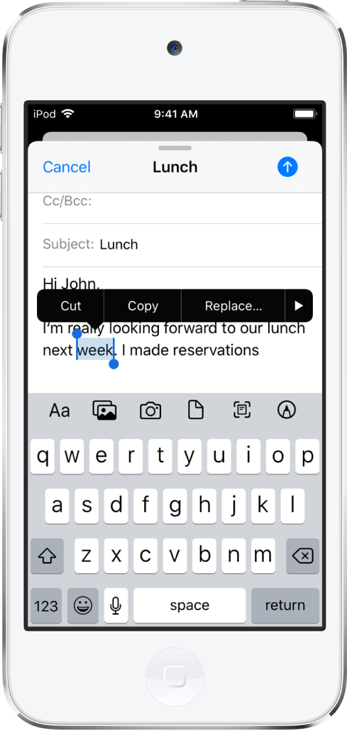 A sample email message with some of the text selected. Above the selection are the Cut, Copy, Paste, and Show More buttons. The selected text is highlighted, with grab points at either end.