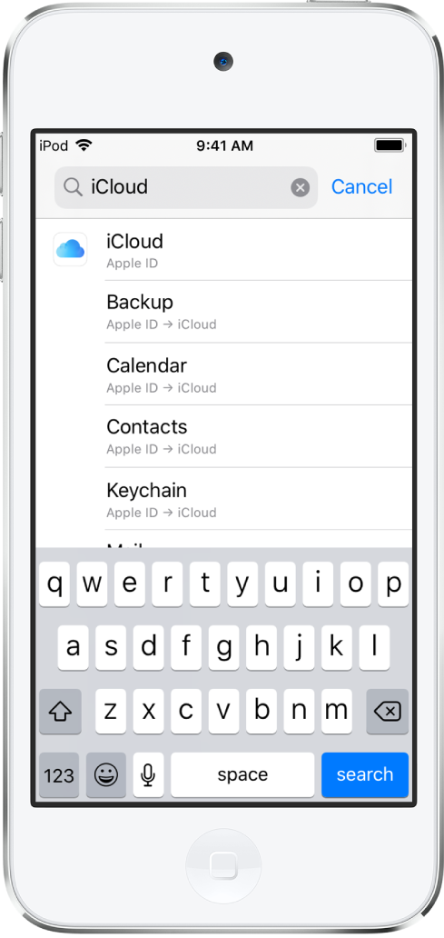 The search settings screen, with the search field at the top. The search term “iCloud” is in the search field, and the found settings are in the list below.