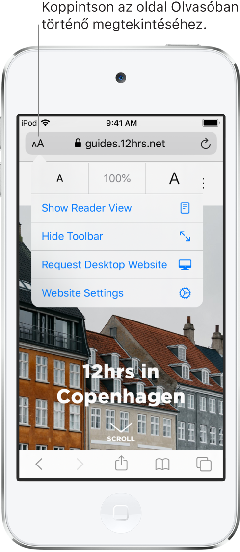 A címmező a Safariban, bal oldalán az Olvasó gombbal.