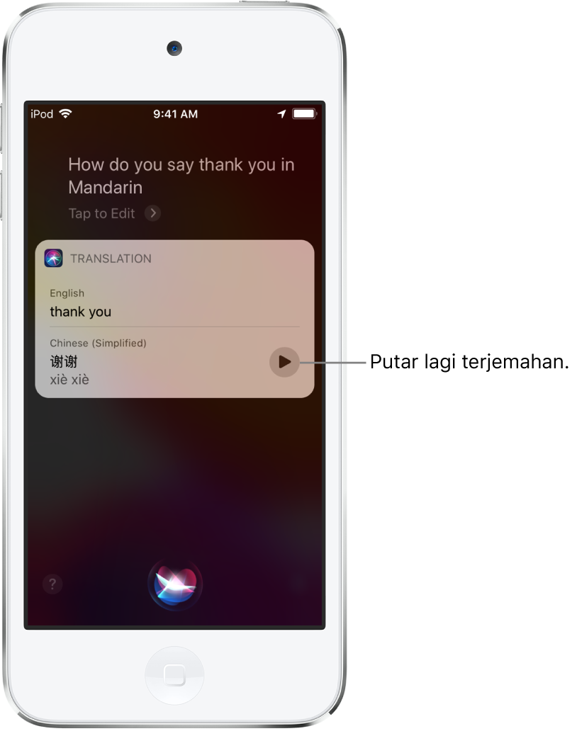 Sebagai respons atas “How do you say thank you in Mandarin?”, Siri menampilkan terjemahan frasa Bahasa Inggris “thank you” ke Mandarin. Tombol di sebelah kanan terjemahan memutar lagi audio terjemahan.