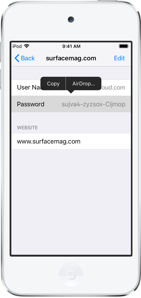 Layar akun untuk situs web. Bagian kata sandi dipilih, dan menu yang berisi item Salin dan AirDrop muncul di atasnya.