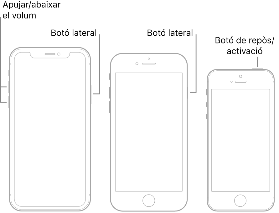 Il·lustracions de tres tipus de models d’iPhone, tots amb la pantalla de cara cap amunt. La il·lustració de l’esquera mostra els botons d’apujar i abaixar el volum a l’esquerra del dispositiu. El botó lateral es troba a la dreta. La il·lustració del mig mostra el botó lateral a la dreta del dispositiu. La il·lustració de la dreta mostra el botó de repòs/activació a la part superior del dispositiu.