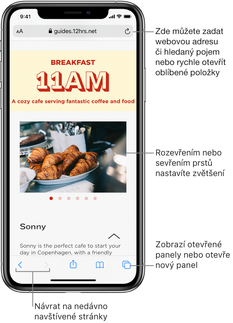 Webová stránka otevřená v okně Safari s polem adresy nahoře. Dole zleva doprava tlačítka Zpět, Vpřed, Sdílet, Záložky a Stránky
