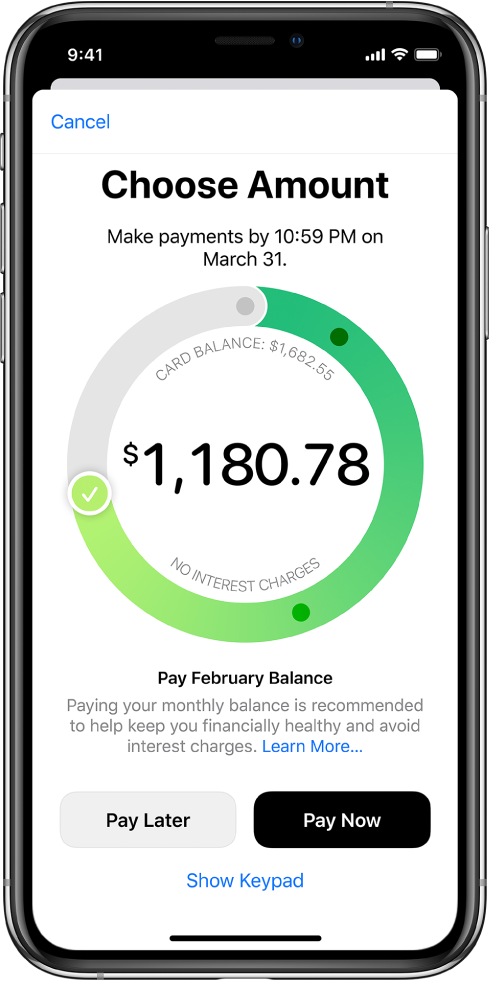 The payment screen, showing a checkmark you drag to adjust the payment amount. At the bottom, you can choose to pay at a later date or pay now.