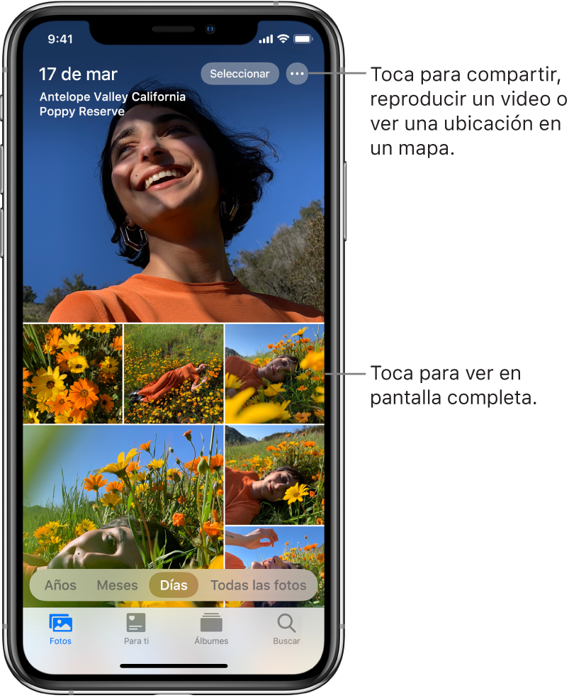 La fototeca en la vista Días. Una selección de miniaturas de fotos llena la pantalla. En la parte superior izquierda de la pantalla están la fecha y la ubicación en las que se tomaron las fotos. En la parte superior derecha están los botones Seleccionar y "Más opciones" para compartir fotos y ver detalles. Debajo de las miniaturas están las opciones para ver la fototeca por años, meses, días y todas las fotos. A lo largo de la parte inferior están las pestañas Fotos, Para ti, Álbumes y Buscar.