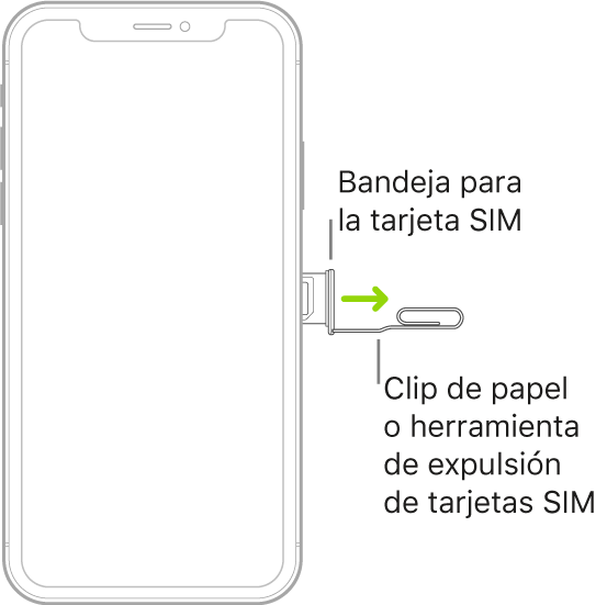 Se inserta un clip o la herramienta de extracción de SIM en el pequeño orificio de la bandeja situada en el lateral derecho del iPhone para expulsar y extraer la bandeja.