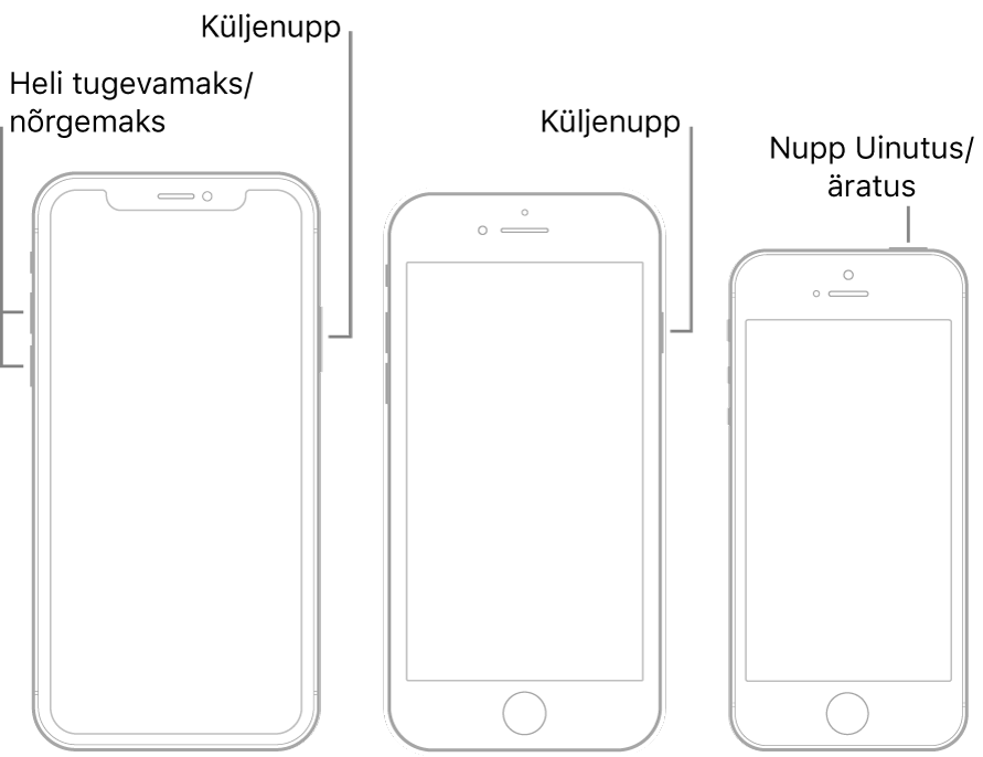 Kolme tüüpi iPhone’i mudelite joonised, kus kõigi ekraanid on suunatud ülespoole. Vasakpoolsel joonisel on näha, kuidas helitugevuse suurendamise ja vähendamise nupud asuvad seadme vasakul küljel. Küljenupp asub paremal. Keskmisel joonisel kuvatakse seadme paremal küljel asuvat küljenuppu. Kõige parempoolsemal joonisel kuvatakse seadme ülaosas asuvat nuppu Uinutus/äratus.