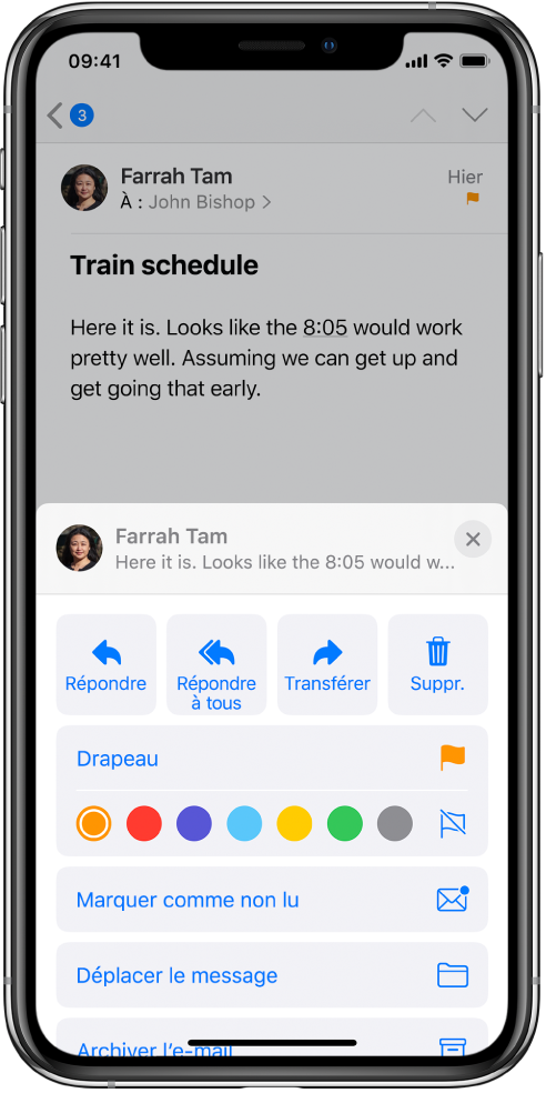 Un e-mail affichant des options de réponse sous le texte. Sous ces options se trouvent les choix de couleur pour les drapeaux.