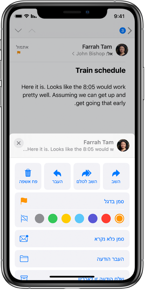 דוא״ל המציג אפשרויות תגובה מתחת. מתחת לאפשרויות הללו, נמצאות אפשרויות צבעים לדגלים.