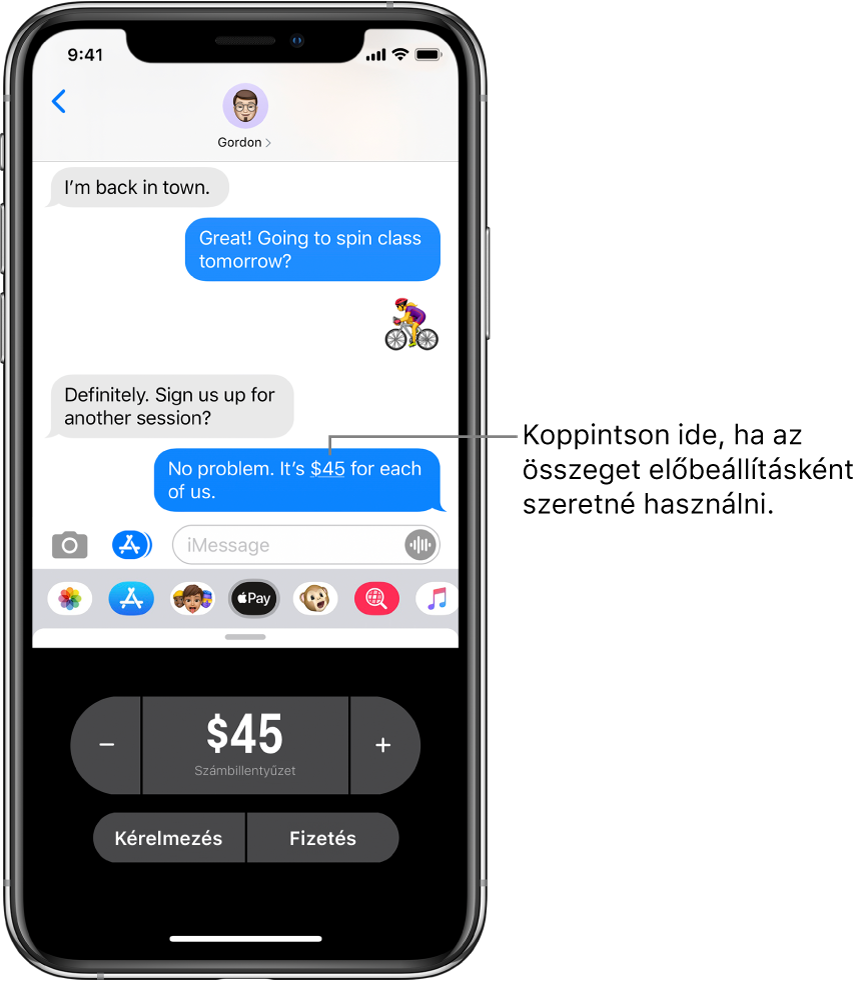 Egy iMessage-beszélgetés, alul a megnyitott Apple Pay alkalmazással.