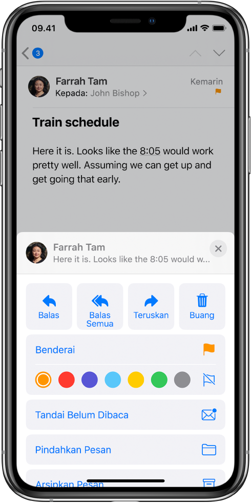 Email menampilkan opsi balasan di bawahnya. Di bawah pilihan tersebut terdapat pilihan warna untuk bendera.