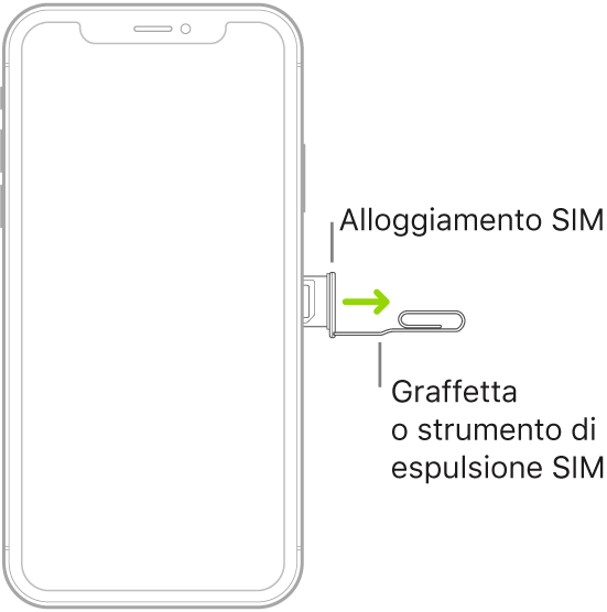 Una graffetta o uno strumento per l'espulsione della SIM viene inserito nel piccolo foro dell'alloggiamento sul lato destro di iPhone per espellere e rimuovere l'alloggiamento.