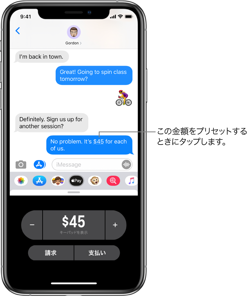 iMessageの会話。下部でApple Pay Appが開いています。