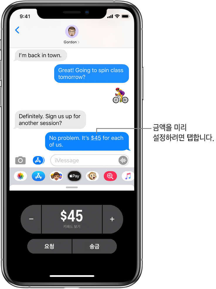 하단에 Apple Pay 앱이 열려 있는 iMessage 대화.