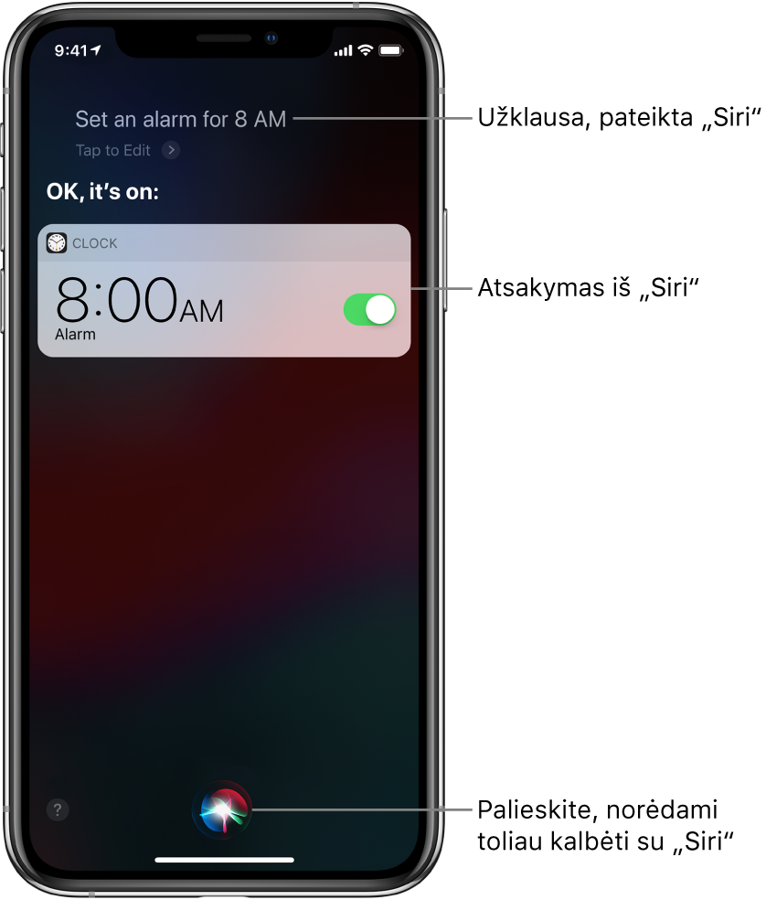 „Siri“ ekrane rodoma, kad „Siri“ buvo paprašyta „Set an alarm for 8 a.m.“ (nustatyk žadintuvą 8 valandai ryto), „Siri“ atsakė „OK, it’s on“ (gerai, nustatyta). Programos „Clock“ pranešimas rodo, kad žadintuvas nustatytas skambėti 8:00 val. Mygtukas ekrano centre apačioje naudojamas pokalbiui su „Siri“ tęsti.