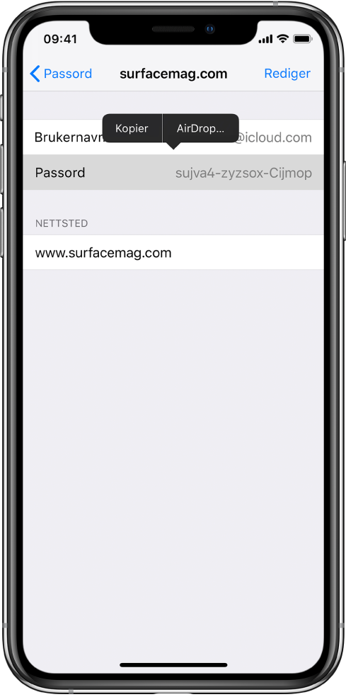 Kontoskjermen for et nettsted. Passorddelen er markert, og en meny med kommandoene Kopier og AirDrop vises over den.
