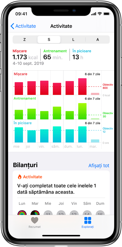 Ecran de detalii pentru categoria Activitate.