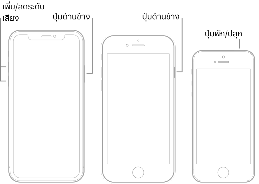 ภาพประกอบของ iPhone รุ่นต่างๆ สามประเภท ซึ่งทั้งหมดหงายหน้าจอขึ้น ภาพประกอบซ้ายสุดแสดงปุ่มเพิ่มระดับเสียงและปุ่มลดระดับเสียง ซึ่งอยู่ด้านซ้ายของอุปกรณ์ ปุ่มด้านข้างแสดงอยู่ทางด้านขวา ภาพประกอบตรงกลางแสดงปุ่มด้านข้าง ซึ่งอยู่ด้านขวาของอุปกรณ์ ภาพประกอบขวาสุดแสดงปุ่มพัก/ปลุก ซึ่งอยู่ด้านบนสุดของอุปกรณ์