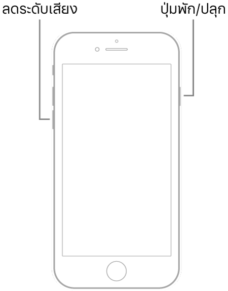 ภาพประกอบของ iPhone 7 ซึ่งหงายหน้าจอขึ้น ปุ่มลดระดับเสียงแสดงอยู่ด้านซ้ายของอุปกรณ์ และปุ่มพัก/ปลุกแสดงอยู่ด้านขวา