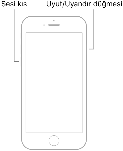 Ekranı yukarı bakan bir iPhone 7 resmi. Aygıtın sol tarafında ses yüksekliğini kapatma düğmesi gösteriliyor ve Uyut/Uyandır düğmesi sağda gösteriliyor.