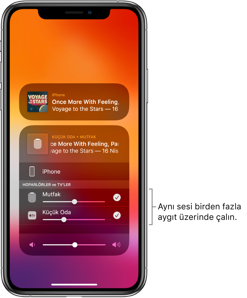 Seçili ses hedefleri olarak HomePod’un ve Apple TV’nin gösterildiği iPhone ekranı.