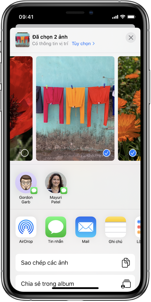 Màn hình Chia sẻ với các ảnh trên cùng; hai ảnh được chọn, được biểu thị bằng dấu kiểm màu trắng trong vòng tròn màu lam. Hàng bên dưới ảnh hiển thị bạn bè mà bạn có thể chia sẻ bằng AirDrop. Bên dưới là các tùy chọn chia sẻ khác, bao gồm, từ trái sang phải, Tin nhắn, Mail, Album được chia sẻ và Thêm vào Ghi chú. Ở hàng cuối cùng là các nút Sao chép, Sao chép liên kết iCloud, Bản trình chiếu, AirPlay và Thêm vào Album.
