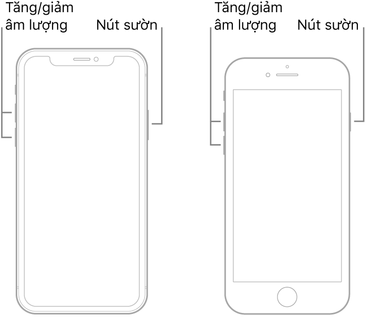 Các hình minh họa của hai kiểu máy iPhone có màn hình hướng lên trên. Kiểu máy ở ngoài cùng bên trái không có nút Home, trong khi kiểu máy ở ngoài cùng bên phải có nút Home ở gần cuối thiết bị. Với cả hai kiểu máy, các nút tăng và giảm âm lượng được hiển thị ở cạnh trái của thiết bị và nút sườn được hiển thị ở cạnh bên phải.