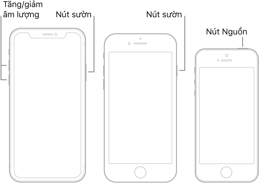 Các hình minh họa của ba loại kiểu máy iPhone, tất cả các kiểu máy đó đều có màn hình hướng lên trên. Hình minh họa ở ngoài cùng bên trái hiển thị các nút tăng và giảm âm lượng ở cạnh bên trái của thiết bị. Nút sườn được hiển thị ở bên phải. Hình minh họa ở giữa hiển thị nút sườn nằm ở bên phải của thiết bị. Hình minh họa ở ngoài cùng bên phải hiển thị nút Nguồn ở đầu thiết bị.