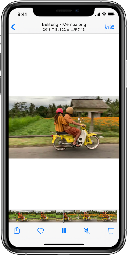 影片播放器在螢幕中央。螢幕底部顯示從左至右的影格檢視。影格顯示器下方，從左至右為「分享」、「喜好項目」、「暫停」、「靜音」和「刪除」按鈕。