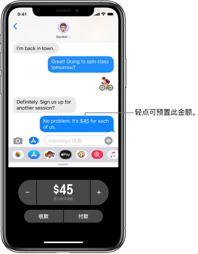 iMessage 对话，底部是打开的 Apple Pay App。