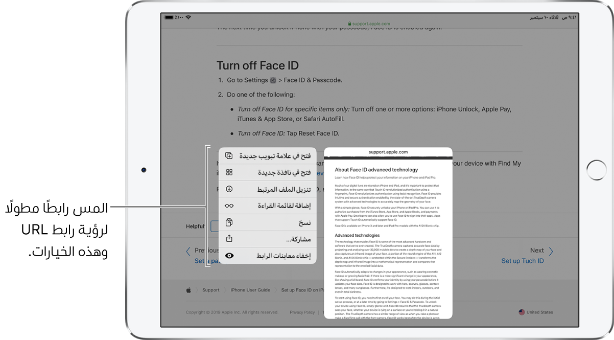 تراكب يعرض عنوان الوجهة وقائمة بالإجراءات المحتملة: فتح، أو فتح في علامة تبويب جديدة، أو فتح في Split View، أو إضافة إلى قائمة القراءة، أو نسخ، أو مشاركة.