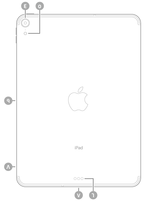 عرض للجزء الخلفي من الـ iPad Pro مع وسائل شرح من أعلى اليسار في اتجاه عقارب الساعة: الكاميرا الخلفية والفلاش و Smart Connector وموصل USB-C وحامل SIM (في طرز Wi-Fi + Cellular) والموصل المغناطيسي لـ Apple Pencil.