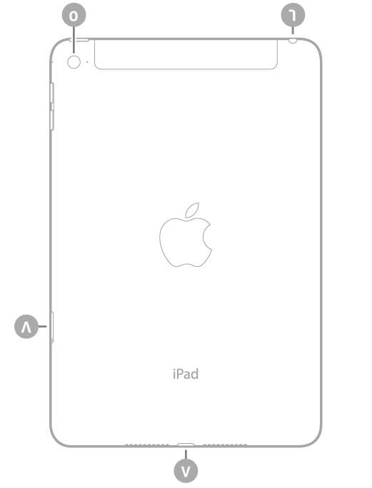 عرض للجزء الخلفي من الـ iPad mini مع وسائل شرح من أعلى اليسار في اتجاه عقارب الساعة: الكاميرا الخلفية ومقبس سماعة الرأس وموصل Lightning وحامل SIM (‏Wi-Fi + Cellular).