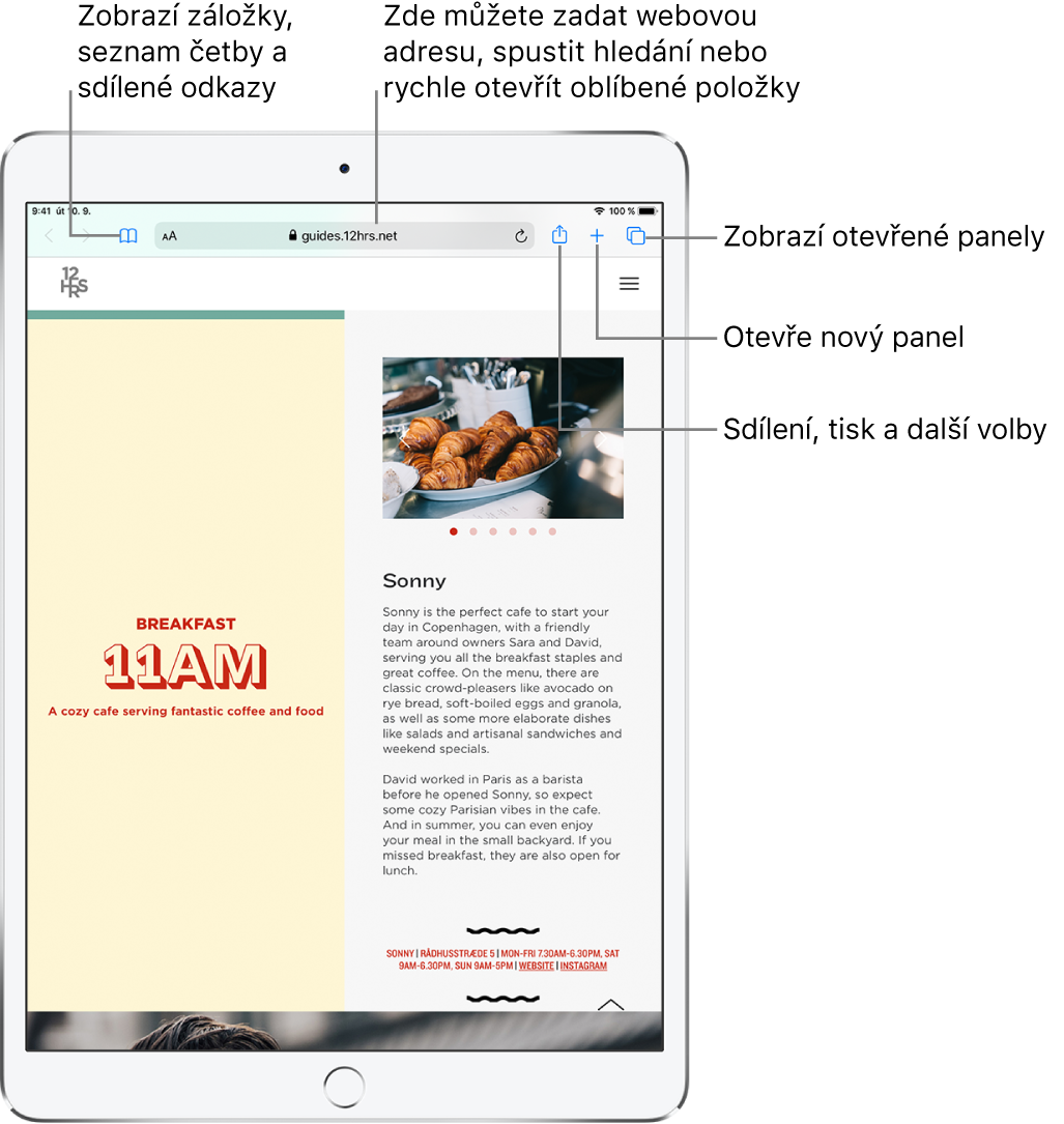 Webová stránka otevřená v Safari; v horní části zleva doprava následující ovládací prvky: tlačítka Zpět, Vpřed a Záložky, pole adresy, tlačítka Sdílet, Nový panel a Stránky