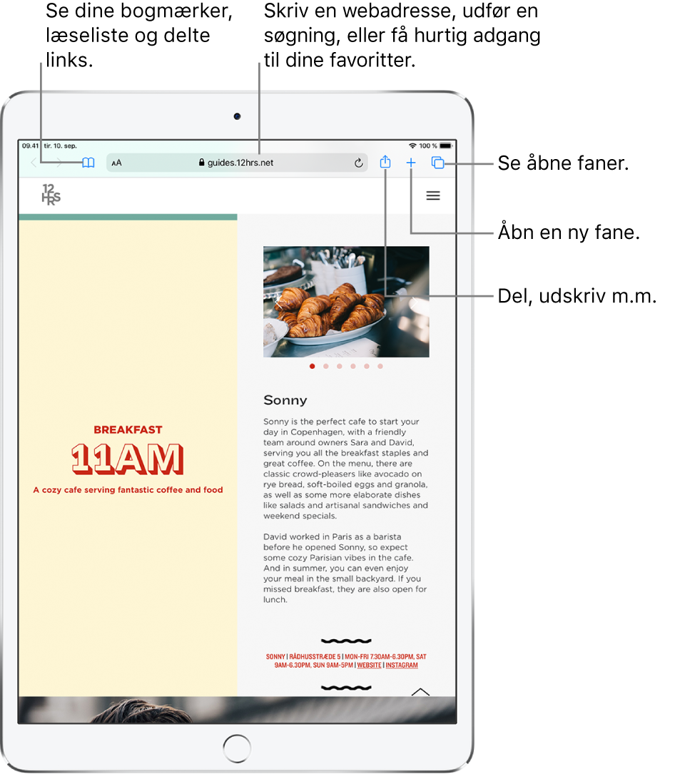 En åben webside i Safari med disse betjeningsmuligheder øverst fra venstre mod højre: Knapperne Tilbage, Frem og Bogmærker, adressefeltet, knapperne Del, Ny fane og Sider.