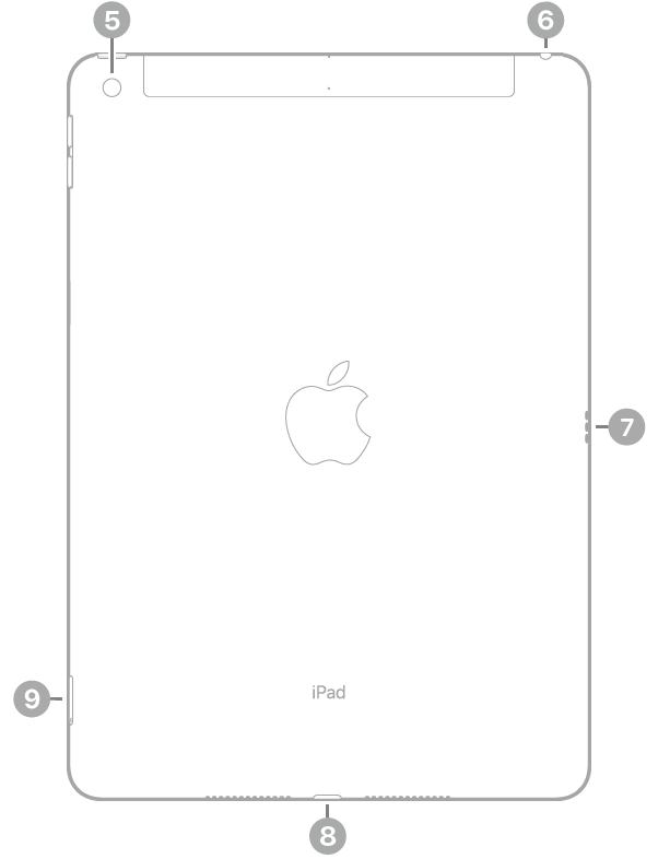 Die Rückansicht des iPad mit Hinweisen im Uhrzeigersinn oben links beginnend: Rückwärtige Kamera, Kopfhöreranschluss, Smart Connector, Lightning Connector und SIM-Fach (Wi-Fi + Cellular).