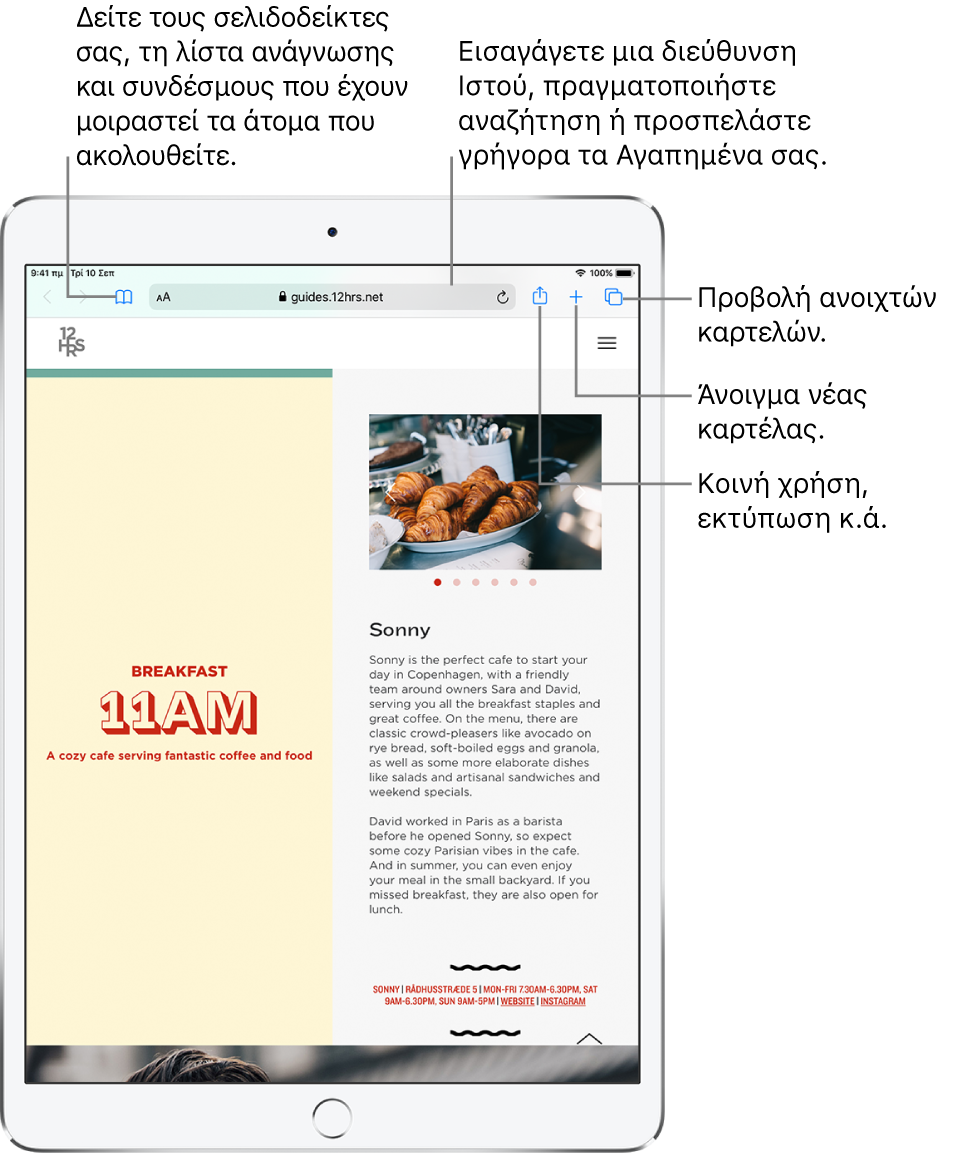Μια ιστοσελίδα ανοιχτή στο Safari, με τα ακόλουθα χειριστήρια στο επάνω μέρος, από αριστερά προς τα δεξιά: τα κουμπιά «Πίσω», «Εμπρός», και «Σελιδοδείκτες», το πεδίο διεύθυνσης, τα κουμπιά «Κοινή χρήση», «Νέα καρτέλα» και «Σελίδες».