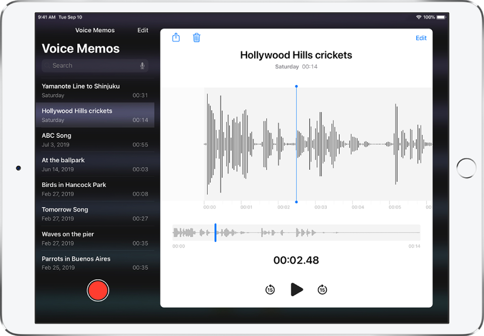 Play a recording in Voice Memos on iPad - Apple Support