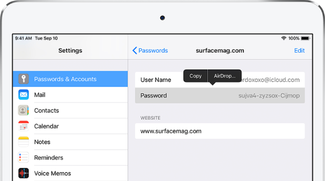 The Passwords & Accounts screen for a website. The password section is selected, and a menu containing the items Copy and AirDrop appears above it.