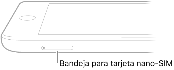 Vista lateral del iPad con un texto que señala a la bandeja de la tarjeta nano-SIM.